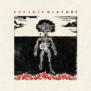 Bokanté - History ryhmässä VINYYLI @ Bengans Skivbutik AB (4259451)