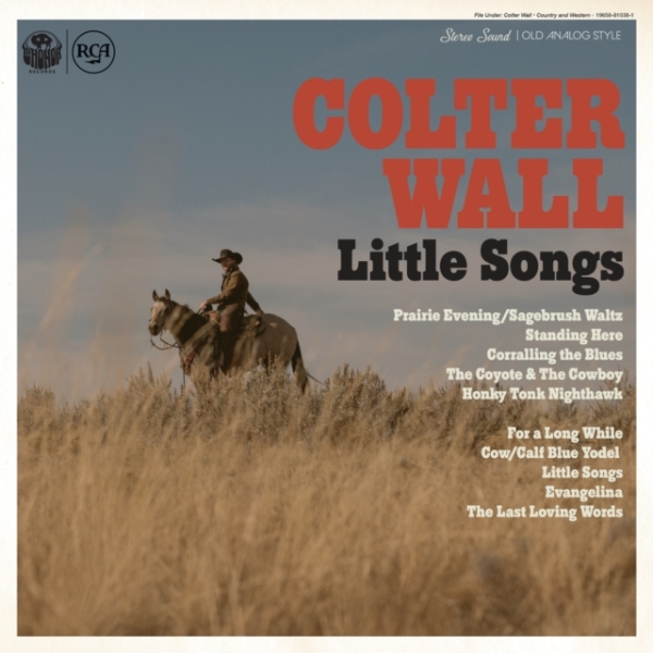 Wall Colter - Little Songs ryhmässä CD / Myydyimmät @ Bengans Skivbutik AB (4260847)