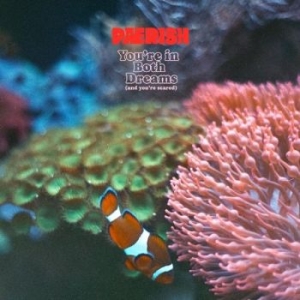 Paerish - You're In Both Dreams (And You're S ryhmässä VINYYLI @ Bengans Skivbutik AB (4261999)