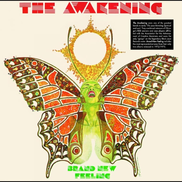 Awakening The - Brand New Feeling ryhmässä VINYYLI / Myydyimmät @ Bengans Skivbutik AB (4265146)