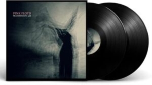 Pink Floyd - Transmission 1968 (2 Lp Vinyl) ryhmässä VINYYLI @ Bengans Skivbutik AB (4265182)