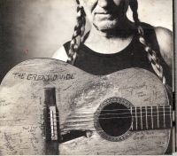 Willie Nelson - The Great Divide ryhmässä VINYYLI @ Bengans Skivbutik AB (4265222)