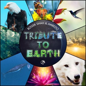 Roger & Ambedo Shah - Tribute To Earth ryhmässä CD @ Bengans Skivbutik AB (4265652)