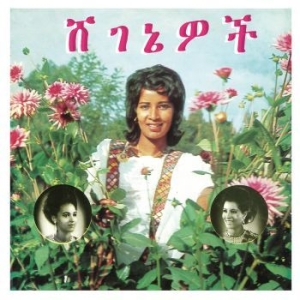 Aselefech Ashine & Getenesh Kebret - Beauties ryhmässä VINYYLI @ Bengans Skivbutik AB (4266618)