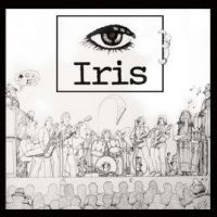 Iris - Iris ryhmässä VINYYLI / Myydyimmät @ Bengans Skivbutik AB (4275010)