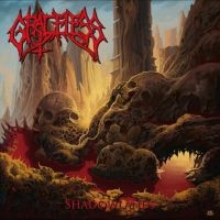 Graceless - Shadowlands ryhmässä CD @ Bengans Skivbutik AB (4275054)