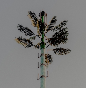 Dj Balduin - Concrete Mimosa ryhmässä ME SUOSITTELEMME / Handpicked Electronics @ Bengans Skivbutik AB (4275938)