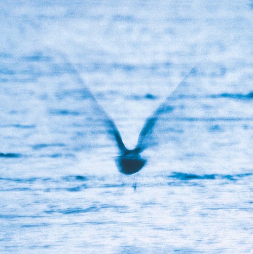 Ryo Fukui - Mellow Dream ryhmässä VINYYLI / Jazz/Blues @ Bengans Skivbutik AB (4278744)