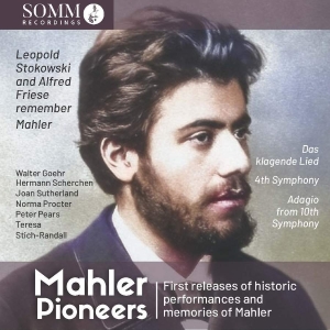 Mahler Gustav - Mahler: Pioneers ryhmässä CD @ Bengans Skivbutik AB (4281415)