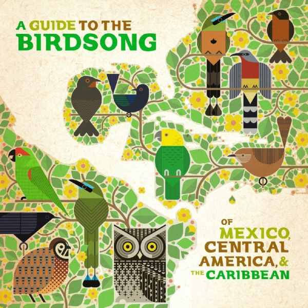 Various Artists - A Guide To The Birdsongs Of Mexico, ryhmässä VINYYLI / Myydyimmät @ Bengans Skivbutik AB (4281690)
