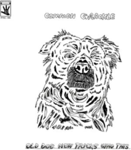 Common Grackle - Old Dog New Tricks Who This ryhmässä VINYYLI @ Bengans Skivbutik AB (4287337)
