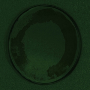 Personable - Oyster ryhmässä VINYYLI @ Bengans Skivbutik AB (4289143)