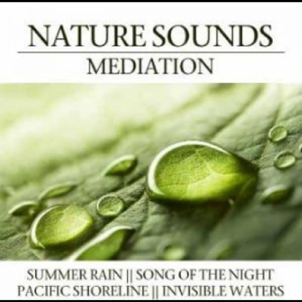Various Artists - Nature Sounds Meditation ryhmässä CD / Myydyimmät @ Bengans Skivbutik AB (4290593)