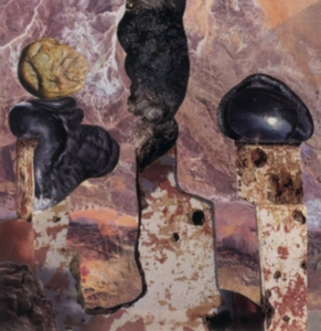 Singer Liam - Finish Him ryhmässä CD @ Bengans Skivbutik AB (4294001)