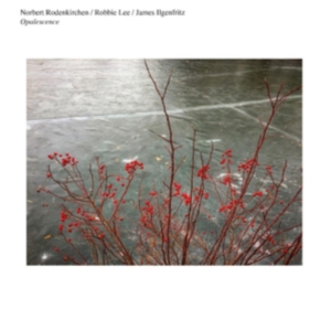 Norbert Rodenkirchen/Robbie Lee/Jam - Opalescence ryhmässä CD @ Bengans Skivbutik AB (4294595)