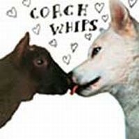 Coachwhips - Bangers Vs Fuckers ryhmässä CD @ Bengans Skivbutik AB (4296168)