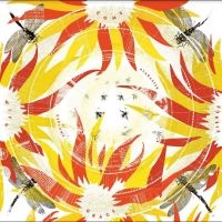 Alabaster Deplume - Come With Fierce Grace ryhmässä CD @ Bengans Skivbutik AB (4297446)