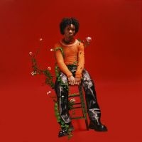 D4vd - Petals To Thorns ryhmässä VINYYLI @ Bengans Skivbutik AB (4300568)