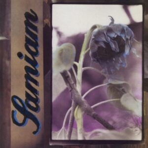Samiam - Samiam (Splatter Vinyl) ryhmässä VINYYLI @ Bengans Skivbutik AB (4302086)