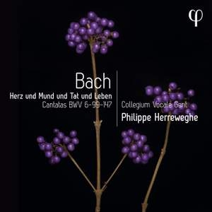 Bach Johann Sebastian - Herz Und Mund Und Tat Und Leben - C ryhmässä CD @ Bengans Skivbutik AB (4303083)