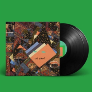 Animal Collective - Isn't It Now? ryhmässä VINYYLI @ Bengans Skivbutik AB (4303165)