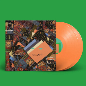 Animal Collective - Isn't It Now? (Orange Vinyl) ryhmässä VINYYLI @ Bengans Skivbutik AB (4303166)
