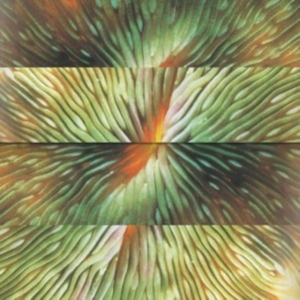 Active Surplus - Mirroring ryhmässä VINYYLI @ Bengans Skivbutik AB (4303757)