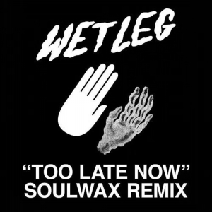 Wet Leg - Too Late Now (Soulwax Remix) ryhmässä Minishops / Wet Leg @ Bengans Skivbutik AB (4304528)