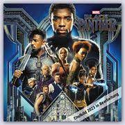 BLACK PANTHER 2023 SQUARE CALENDAR ryhmässä MERCH @ Bengans Skivbutik AB (4305266)