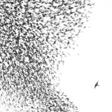 Wilco - Sky Blue Sky ryhmässä -Start Vinyl @ Bengans Skivbutik AB (4306441)