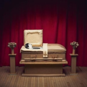 Pepper Gregory & His Problems - No Thanks ryhmässä VINYYLI @ Bengans Skivbutik AB (4306511)