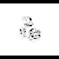 Webber Anna And Matt Mitchell - Capacious Aeration ryhmässä CD @ Bengans Skivbutik AB (4310918)