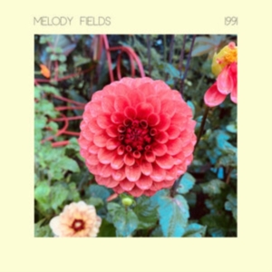 MELODY FIELDS - 1991 ryhmässä VINYYLI @ Bengans Skivbutik AB (4313064)