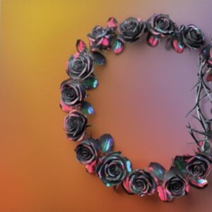 The Rose - Dual (Dawn) ryhmässä CD @ Bengans Skivbutik AB (4314272)