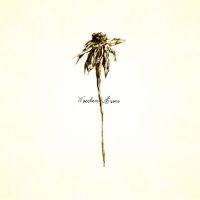 Patrick Watson - Wooden Arms ryhmässä VINYYLI / Rock @ Bengans Skivbutik AB (4314287)