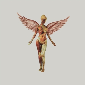 Nirvana - In Utero (Cd Super Deluxe) ryhmässä Minishops / Nirvana @ Bengans Skivbutik AB (4314356)