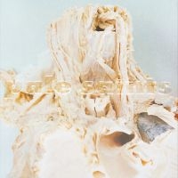 Pale Saints - In Ribbons (Neutral /Unpigmented Vi ryhmässä VINYYLI @ Bengans Skivbutik AB (4315252)