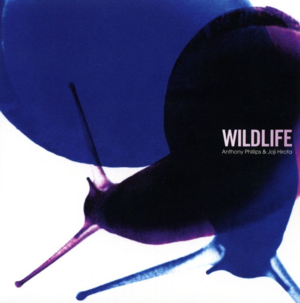 Phillips Anthony & Joji Hirota - Wildlife (Remastered And Expanded) ryhmässä CD / Myydyimmät @ Bengans Skivbutik AB (4349620)