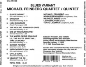 Michael Feinberg - Blues Variant ryhmässä CD @ Bengans Skivbutik AB (4399160)