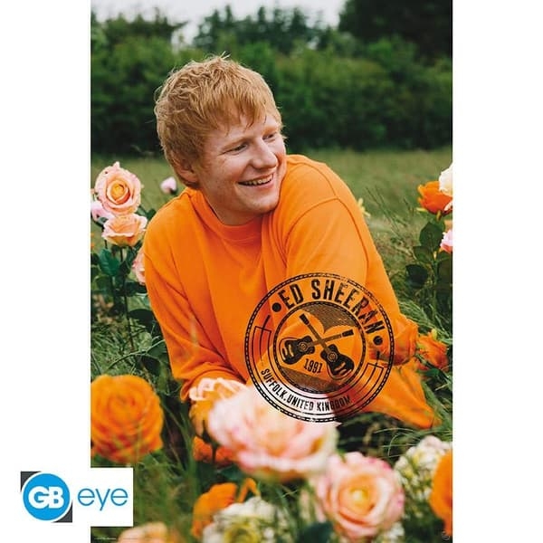 Ed Sheeran - Poster Rose Field  91,5 X 61 Cm ryhmässä MERCH / Julisteet @ Bengans Skivbutik AB (4401456)