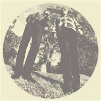 Segall Ty & White Fence - Hair ryhmässä VINYYLI @ Bengans Skivbutik AB (482129)