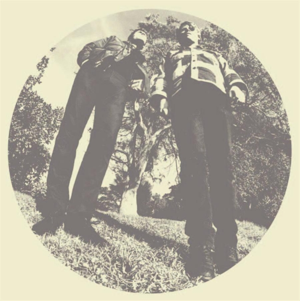 Segall Ty & White Fence - Hair ryhmässä VINYYLI @ Bengans Skivbutik AB (482129)