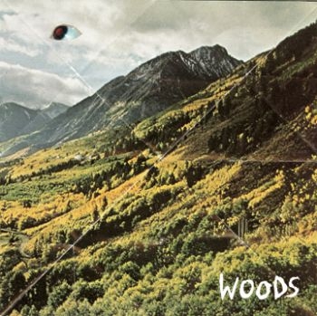 Woods - Songs Of Shame ryhmässä VINYYLI / Rock @ Bengans Skivbutik AB (485165)