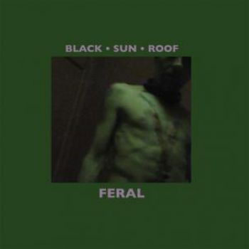 Black Sun Roof - Feral (Lp+Cd) ryhmässä VINYYLI / Rock @ Bengans Skivbutik AB (485852)