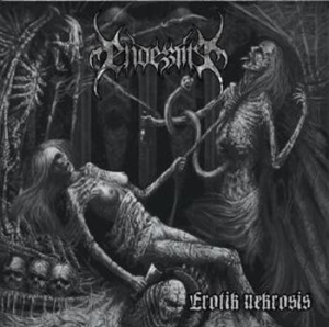 Endezzma - Erotik Nekrosis ryhmässä VINYYLI @ Bengans Skivbutik AB (486380)