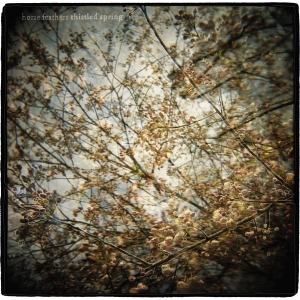 Horse Feathers - Thistled Spring Lp ryhmässä VINYYLI @ Bengans Skivbutik AB (491425)