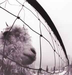 Pearl Jam - Vs. Vinyl Edition (Remastered) ryhmässä VINYYLI @ Bengans Skivbutik AB (491716)