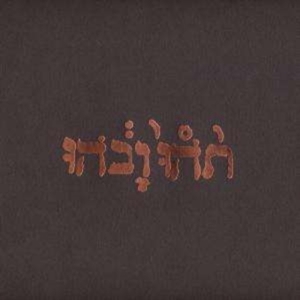 Godspeed You! Black Emperor - Slow Riot For A New Zero Kanada ryhmässä Minishops / Godspeed You @ Bengans Skivbutik AB (493872)
