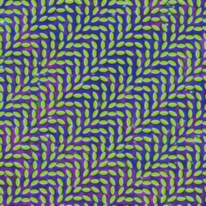 Animal Collective - Merriweather Post Pavillion ryhmässä VINYYLI @ Bengans Skivbutik AB (497830)