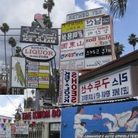 Friedberger Matthew - Cut It Out ryhmässä VINYYLI @ Bengans Skivbutik AB (498315)